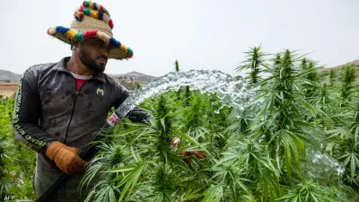سبق اخبار اليمن الان موجة المغرب وتحذيرات ضربات الشمس اخبار اليمن الان الحدث اليوم عاجل سبق