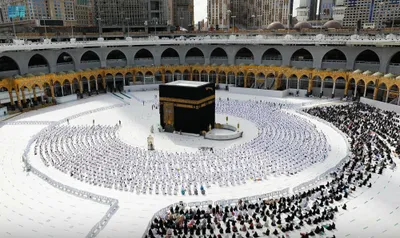 المواطن اخبار اليمن الان التراويح والتهجد الأواخر بالمسجد الحرام اخبار اليمن الان الحدث اليوم عاجل المواطن