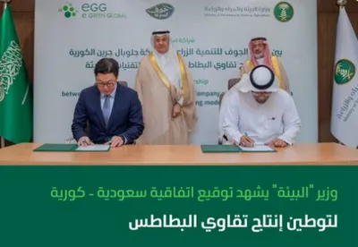الجيل اخبار اليمن الان اتفاقية سعودية كورية لتوطين البطاطس اخبار اليمن الان الحدث اليوم عاجل الجيل