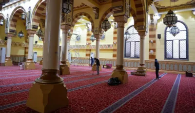 اخبار اليمن الان الحدث اليوم عاجل الجيل