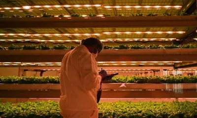 سبق اخبار اليمن الان طيران بامتياز الوحيدة العالم بوستانيكا اخبار اليمن الان الحدث اليوم عاجل سبق