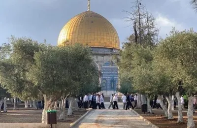 سبق اخبار اليمن الان مجموعات متتالية مستوطنون يقتحمون المسجد اخبار اليمن الان الحدث اليوم عاجل سبق