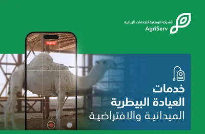 سبق اخبار اليمن الان الوطنية الزراعية البيطرية الميدانية والافتراضية اخبار اليمن الان الحدث اليوم عاجل سبق