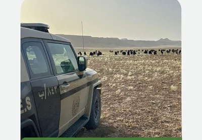 اخبار اليمن الان الحدث اليوم عاجل سبق