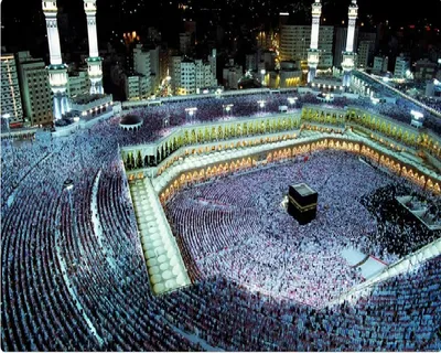 اخبار اليمن الان الحدث اليوم عاجل الجيل