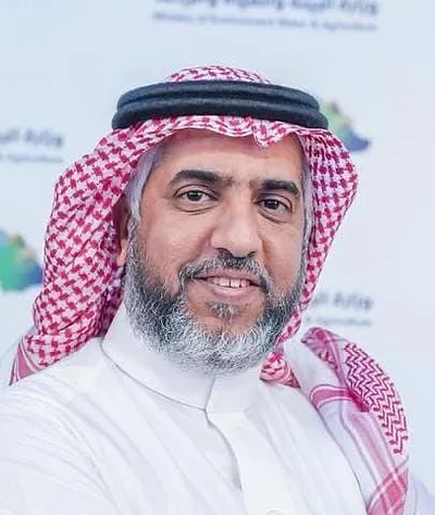 اخبار اليمن الان الحدث اليوم عاجل سبق