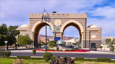الجيل اخبار اليمن الان الابتكار الأبحاث العلمية الجامعة الإسلامية اخبار اليمن الان الحدث اليوم عاجل الجيل