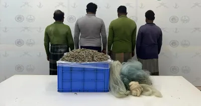 اخبار اليمن الان الحدث اليوم عاجل سبق