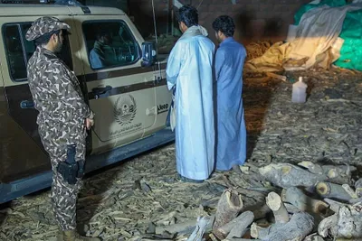 اخبار اليمن الان الحدث اليوم عاجل سبق