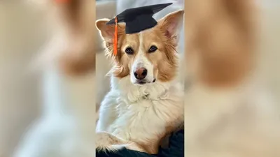 اخبار اليمن الان الحدث اليوم عاجل cnn عربي