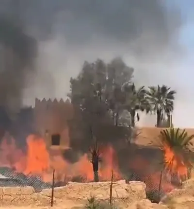 سبق اخبار اليمن الان يلتهم وأشجارا التراثية جماعية إخماده اخبار اليمن الان الحدث اليوم عاجل سبق
