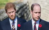 timesofindia اخبار اليمن الان prince william extend branch message اخبار اليمن الان الحدث اليوم عاجل timesofindia
