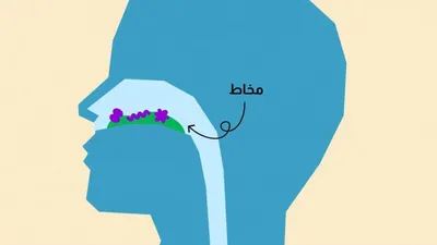 اخبار اليمن الان الحدث اليوم عاجل cnn عربي