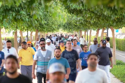 اخبار اليمن الان الحدث اليوم عاجل سبق
