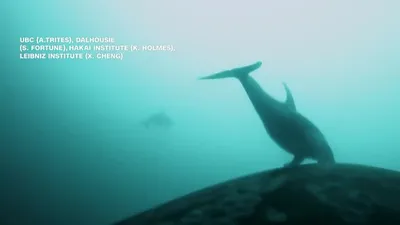 اخبار اليمن الان الحدث اليوم عاجل cnn عربي