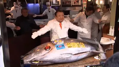 اخبار اليمن الان الحدث اليوم عاجل cnn عربي