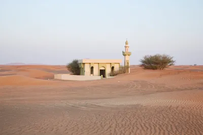 اخبار اليمن الان الحدث اليوم عاجل cnn عربي