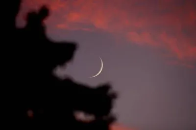 اخبار اليمن الان الحدث اليوم عاجل سبق