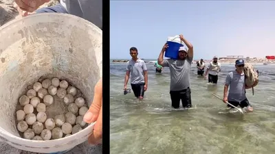 اخبار اليمن الان الحدث اليوم عاجل cnn عربي