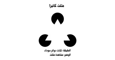 اخبار اليمن الان الحدث اليوم عاجل سبق