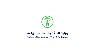 اخبار اليمن الان الحدث اليوم عاجل سبق