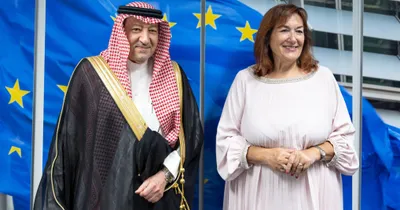 الجيل اخبار اليمن الان الخريجي التعاون الثنائي المفوضة الأوروبية اخبار اليمن الان الحدث اليوم عاجل الجيل