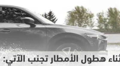 اخبار اليمن الان الحدث اليوم عاجل المواطن