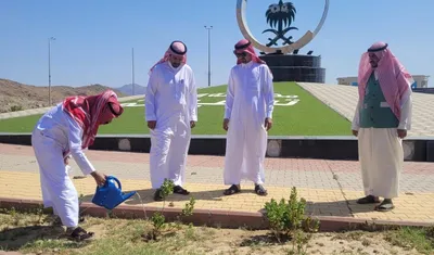 سبق اخبار اليمن الان الكامل مبادرات لتعزيز النباتي المحافظة اخبار اليمن الان الحدث اليوم عاجل سبق