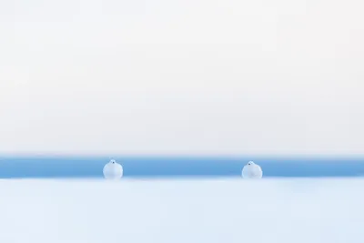 اخبار اليمن الان الحدث اليوم عاجل cnn عربي