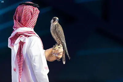 سبق اخبار اليمن الان أكثر ملايين مبيعات الصقور السعودي اخبار اليمن الان الحدث اليوم عاجل سبق