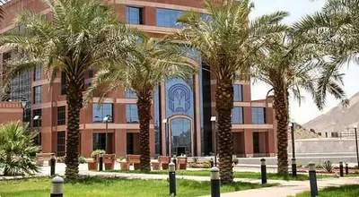 الجيل اخبار اليمن الان جامعة انتهاء التقديم الدراسات العليا اخبار اليمن الان الحدث اليوم عاجل الجيل