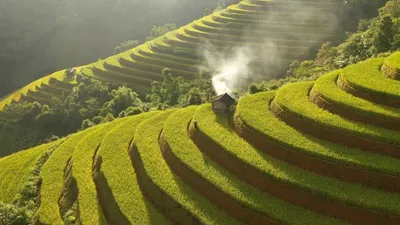 اخبار اليمن الان الحدث اليوم عاجل cnn عربي