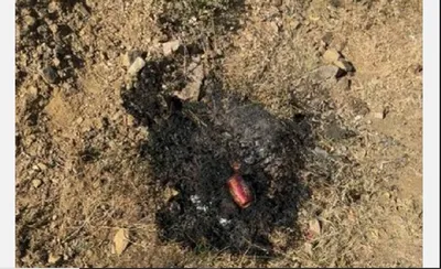 الجيل اخبار اليمن الان مواطن البيئة لإشعاله الغطاء النباتي اخبار اليمن الان الحدث اليوم عاجل الجيل
