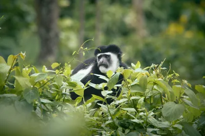 اخبار اليمن الان الحدث اليوم عاجل cnn عربي