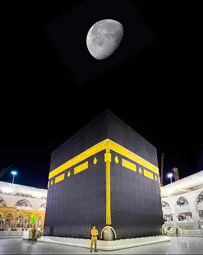 اخبار اليمن الان الحدث اليوم عاجل صدى 