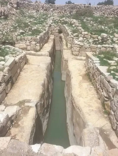 اخبار اليمن الان الحدث اليوم عاجل المشهد اليمني