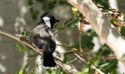 اخبار اليمن الان الحدث اليوم عاجل الجيل