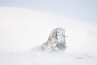 اخبار اليمن الان الحدث اليوم عاجل cnn عربي