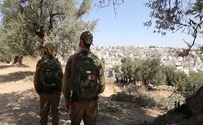 سبق اخبار اليمن الان أوتشا الزيتون الضفة الغربية المستعمرين اخبار اليمن الان الحدث اليوم عاجل سبق