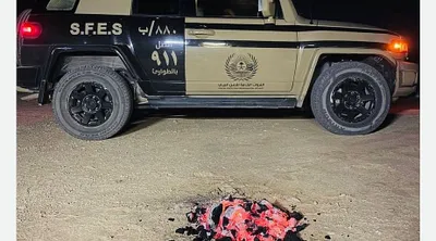 سبق اخبار اليمن الان البيئي مواطنا مخالفا لإشعاله النباتي اخبار اليمن الان الحدث اليوم عاجل سبق