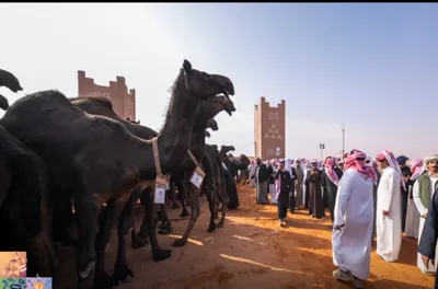 اخبار اليمن الان الحدث اليوم عاجل سبق