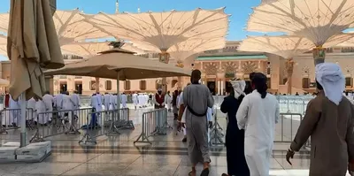 اخبار اليمن الان الحدث اليوم عاجل الجيل