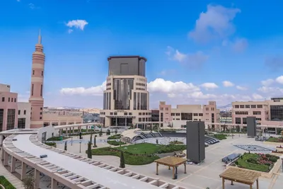 سبق اخبار اليمن الان لتبني بجامعة الأهواء التعصب الرياضي اخبار اليمن الان الحدث اليوم عاجل سبق