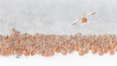 اخبار اليمن الان الحدث اليوم عاجل cnn عربي