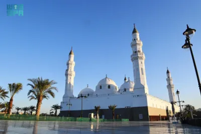 اخبار اليمن الان الحدث اليوم عاجل سبق