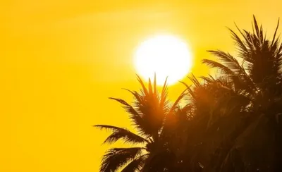 اخبار اليمن الان الحدث اليوم عاجل سبق