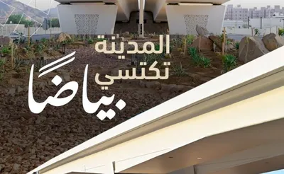 الجيل اخبار اليمن الان توحيدا وتعزيزا المدينة المنورة بالبياض اخبار اليمن الان الحدث اليوم عاجل الجيل