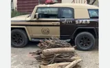 عكاظ اخبار اليمن الان القوة الخاصة بالقصيم مخالفا البيئة اخبار اليمن الان الحدث اليوم عاجل عكاظ