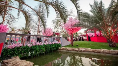 الجيل اخبار اليمن الان حديقة الحياة وتنشط السياحة الصيفية اخبار اليمن الان الحدث اليوم عاجل الجيل