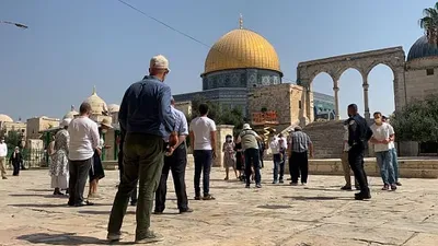الجيل اخبار اليمن الان استفزازية باحاته مستوطنون يقتحمون المسجد اخبار اليمن الان الحدث اليوم عاجل الجيل